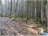 Križna jama - Križna gora